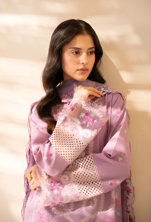 3 PC Premium Embroidered Collection by Rajbari - Image 3