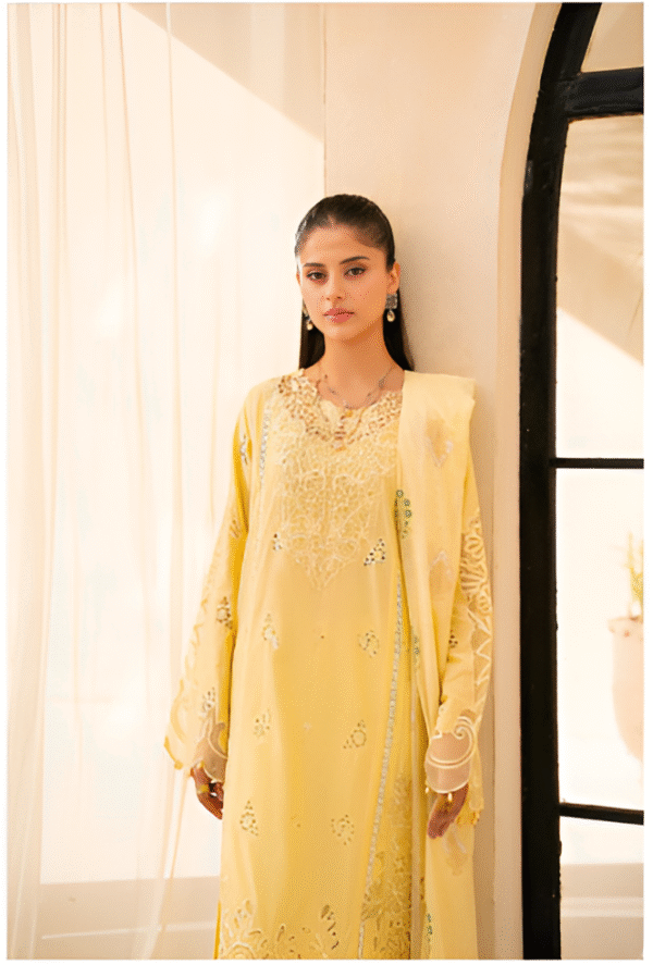 3 PC Premium Embroidered Collection by Rajbari - Image 2