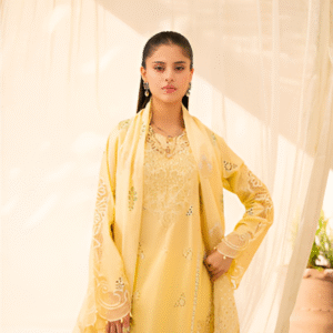 3 PC Premium Embroidered Collection by Rajbari