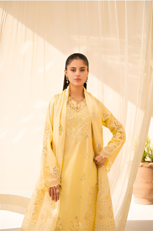 3 PC Premium Embroidered Collection by Rajbari
