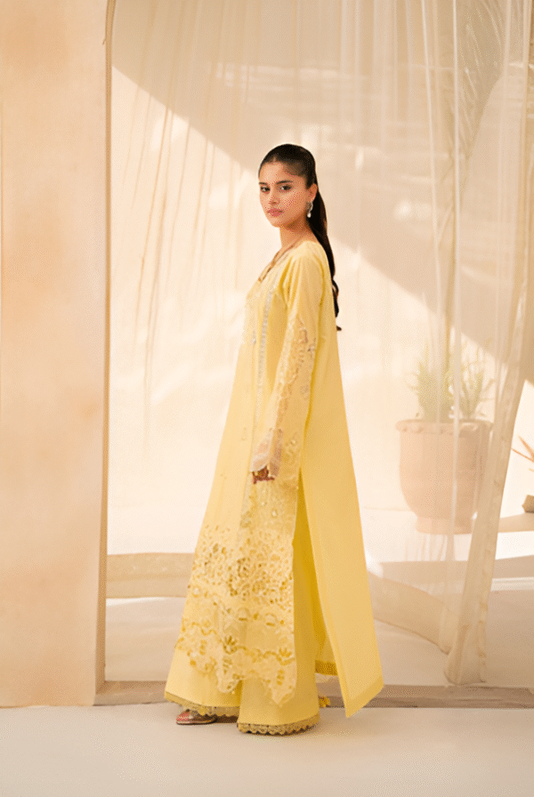 3 PC Premium Embroidered Collection by Rajbari - Image 4