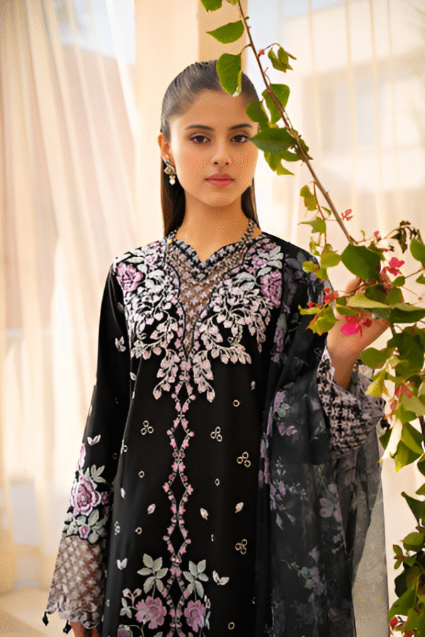 3 PC Premium Embroidered Collection by Rajbari - Image 2