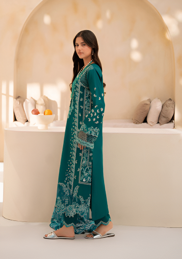 3 PC Premium Embroidered Collection by Rajbari - Image 2