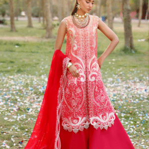 3 PC Luxury Embroidered Collection by Bin Ilyas
