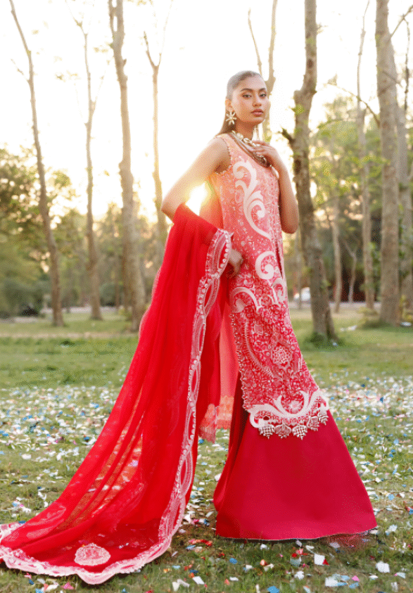 3 PC Luxury Embroidered Collection by Bin Ilyas - Image 2