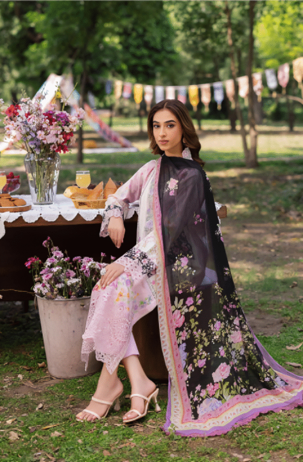 3 PC Heavy Embroidered Collection by Rajbari - Image 3