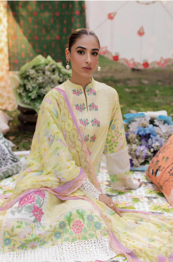 3 PC Heavy Embroidered Collection by Rajbari - Image 3