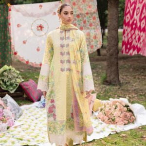 3 PC Heavy Embroidered Collection by Rajbari