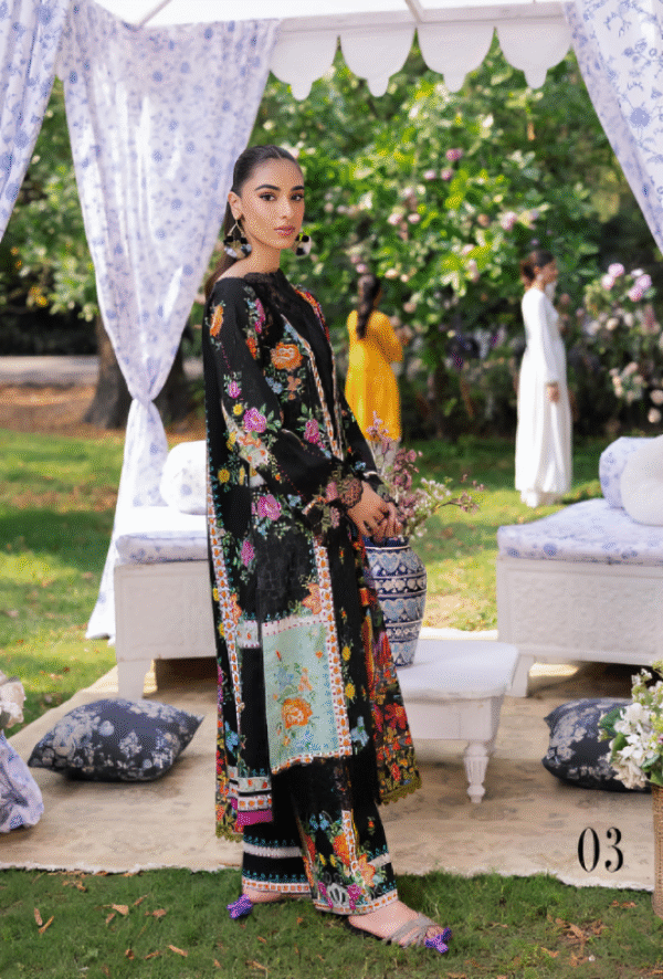 3 PC Heavy Embroidered Collection by Rajbari - Image 4